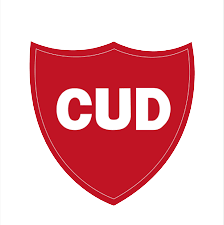 Escudo Unión Deportiva